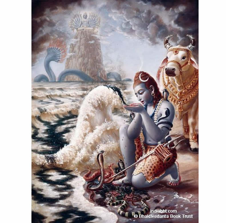 Gallery Images